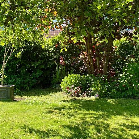 Auszeit-Ort Mit Wohlfuehl-Garantie Lägenhet Neu-Ulm Exteriör bild